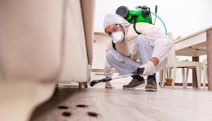 Best Commercial Pest Control  in Green Valley, AZ